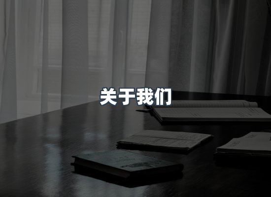 专业团队